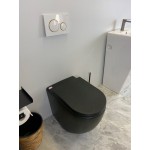 Raul 99 Rimless Floor-mount Toilet Pan Only Raul 99 Rimless Floor-mount Toilet Pan Only
